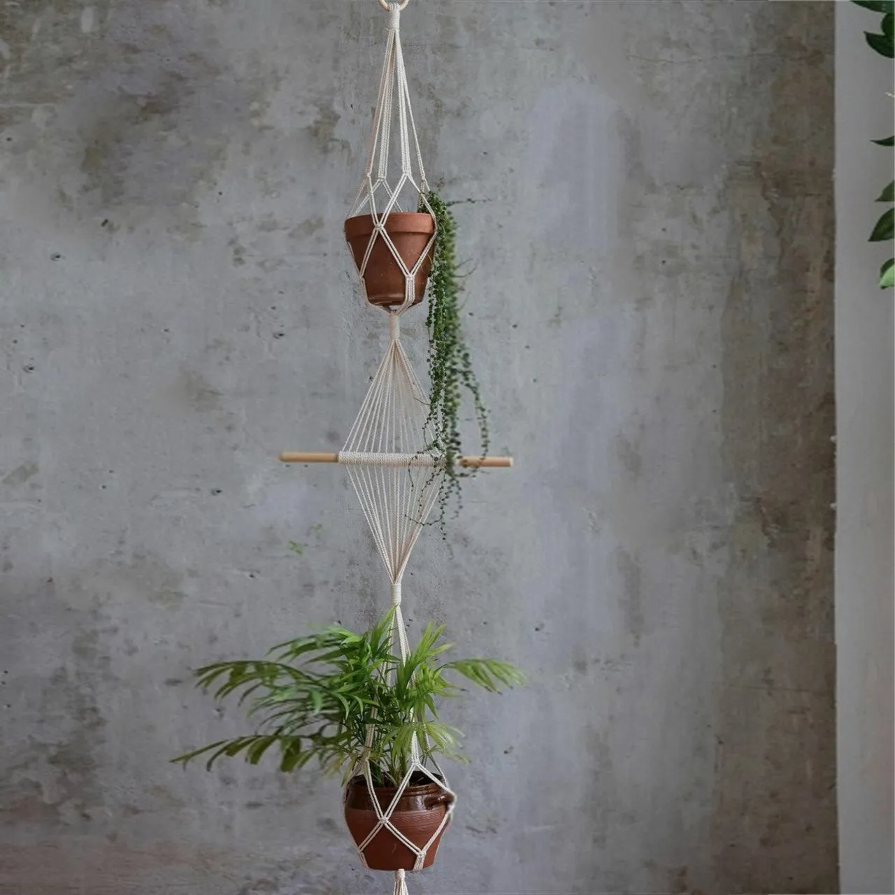 Stylish 2-Tier Macrame Plant Hanger (Set of 3)