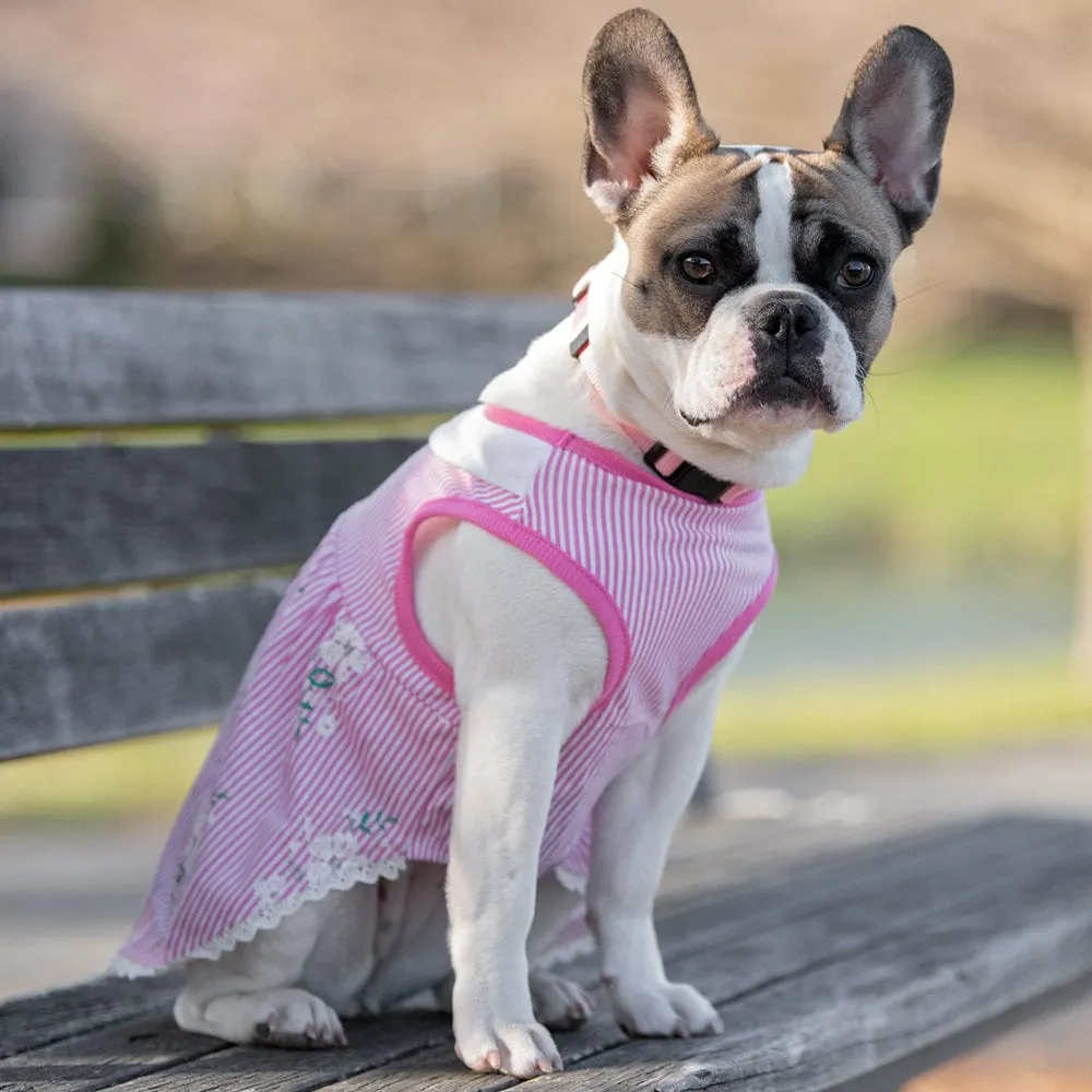 Wonderland Floral Dog Dress in Pink Stripe