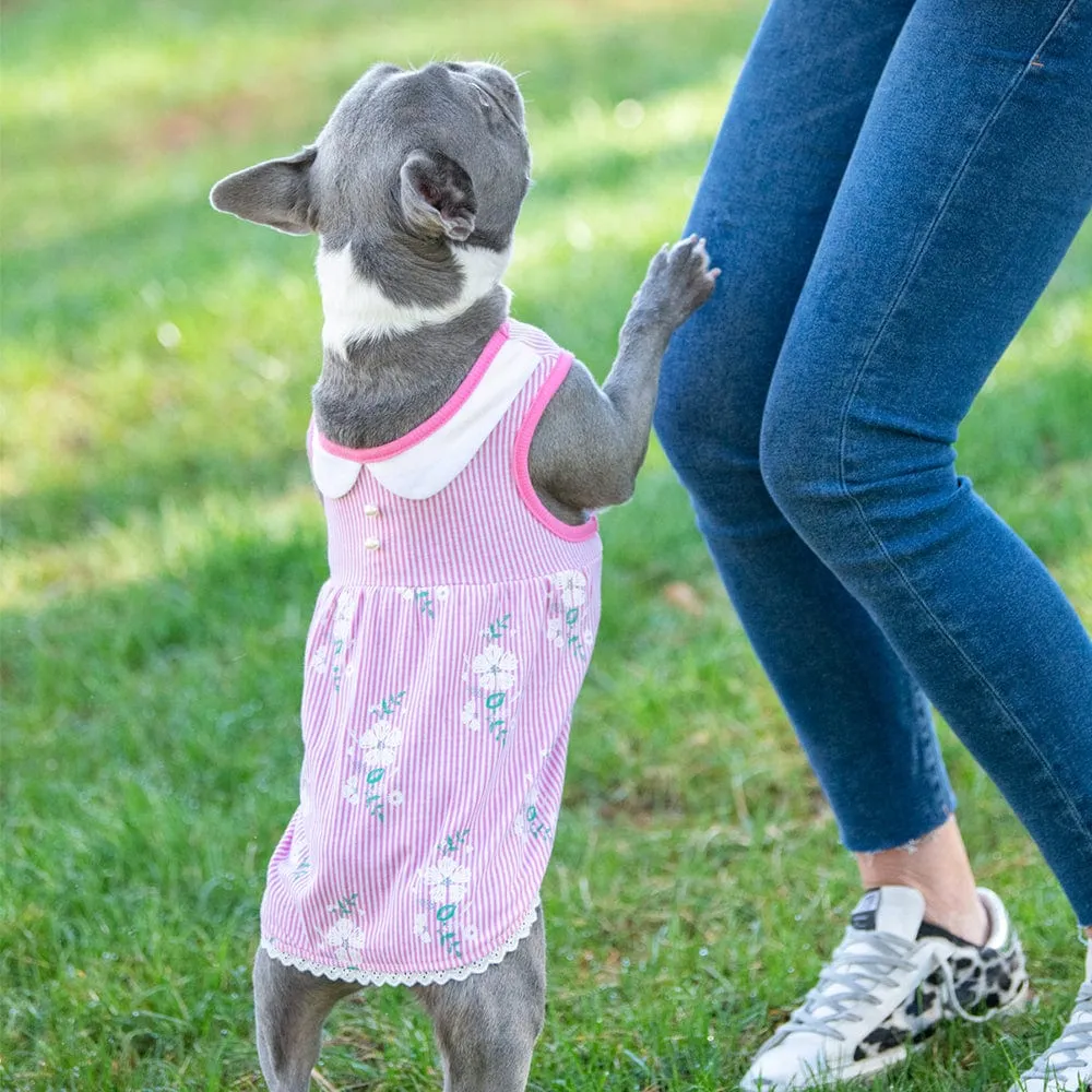 Wonderland Floral Dog Dress in Pink Stripe